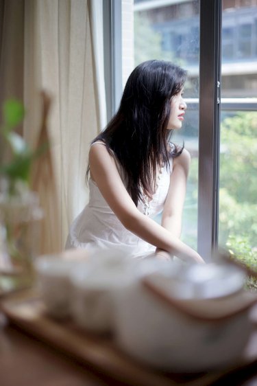 给我豹豹迷羊